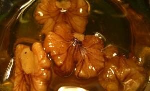 Орехи с медом – лечебные свойства, витаминный состав, в каких случаях принимать Грецкий орех с медом польза для организма